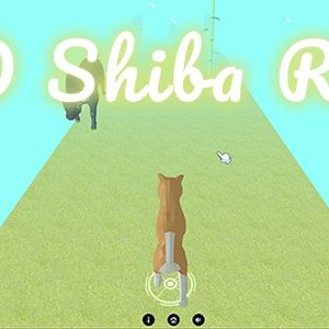 3D Shiba Run - Cross Platform Casual Game