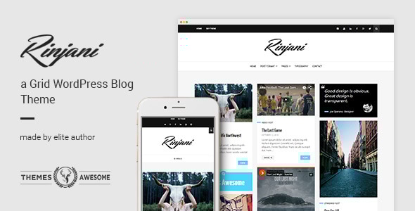 A responsive grid blog theme rinjani v16 gplpixel.jpg
