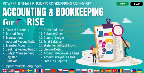 Accounting and bookkeeping plugin for rise crm codermarket.png