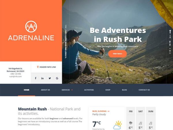 Adrenaline WordPress Theme - Image 1