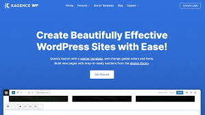 Advanced Scripts manager Wordpress plugin with original license key