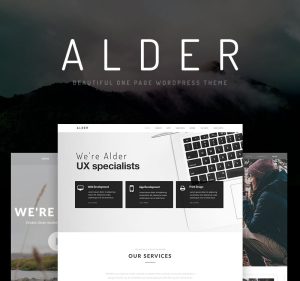 Alder modern onepage wordpress theme.jpg