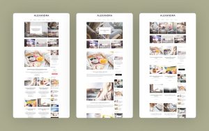 Alexandra the perfect wordpress theme for creative blogs.jpg