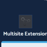 All in One WP Migration Multisite