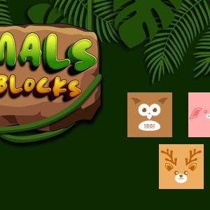 Animals Slide Blocks