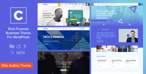 Apital corporate business wordpress theme v11 gplpixel.png