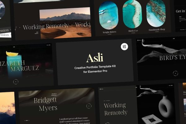 Asli – Creative Portfolio Elementor Pro Template Kit - Image 1