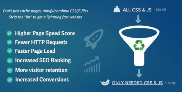 Asset CleanUp Page Speed Booster PRO - Image 1