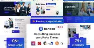 Bandco consulting business wordpress theme gplpixel.jpg
