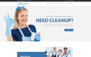 Big cleanup cleaning services responsive wordpress theme.jpg