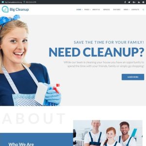 Big Cleanup - Cleaning Services Responsive WordPress Theme
