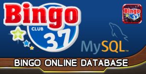Bingo mysql database html5 gplpixel.jpg