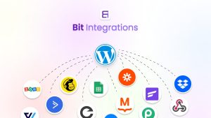 Bit integrations pro integration plugin for wordpress v228 gplpixel.jpg