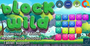 Block puzzle wild admob gdpr android studio codermarket.png