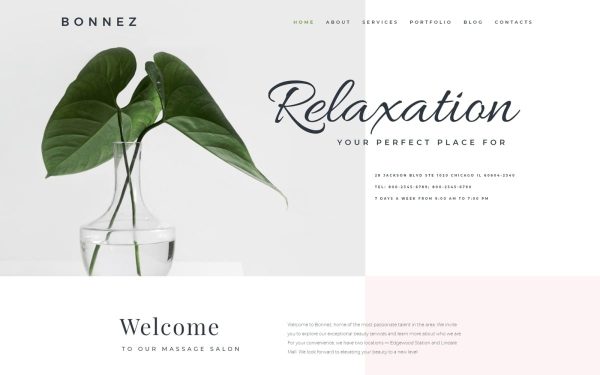 Bonnez - Massage Salon Ready-to-Use Minimal WordPress Elementor Theme - Image 1