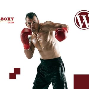 Boxy Boxing And Martial Arts WordPress Theme