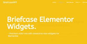 Briefcase Elementor Widgets and BriefcaseWP Extras