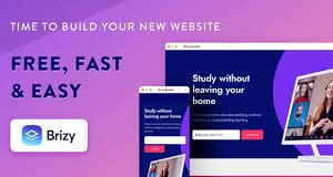 Brizy Pro - Wordpress Builder Plugin