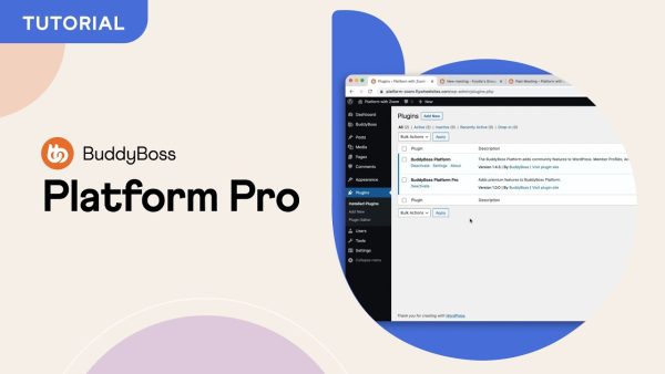 BuddyBoss Platform Pro - Image 1