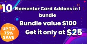 Bwd card bundle for elementor v10 gplpixel.jpg