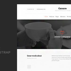 Camaro - Responsive Multipurpose Template