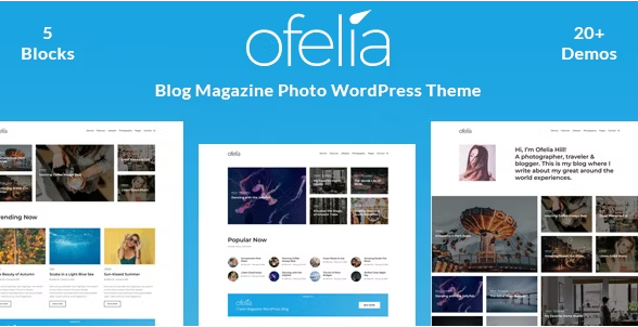 Cannix a vibrant wordpress blog theme v132 gplpixel.png