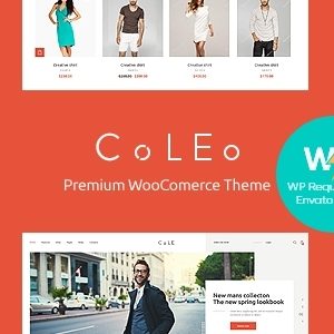 Coleo | A Stylish Fashion Clothing Store WordPress Theme