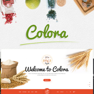 Colora - Responsive Organic, Cosmetic, Garden, Beauty, Food Shopify Theme (Sectioned)