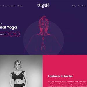 CSS Igniter Vigour Theme