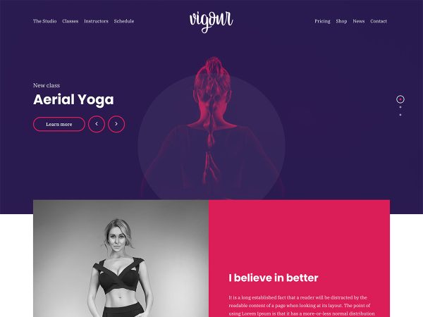 CSS Igniter Vigour Theme - Image 1