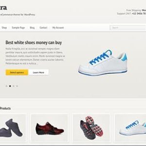 CSSIgniter Agora WordPress Theme