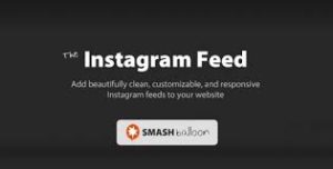 Custom instagram feed pro developer v64 nulled gplpixel.jpg