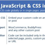 Custom JavaScript & CSS