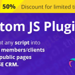 Custom JS plugin for RISE CRM
