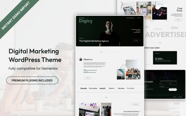 Digicy - Digital Marketing WordPress Theme - Image 1