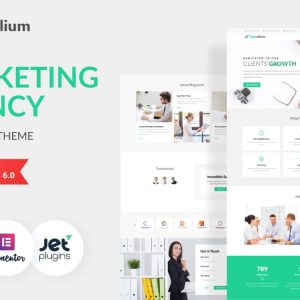 Digitalium - Marketing Agency WordPress Elementor Theme