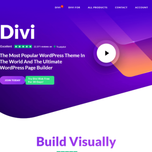 Divi WordPress Theme