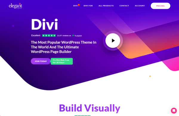 Divi WordPress Theme - Image 1