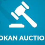 Dokan – Simple Auctions Integration