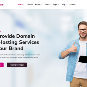 Domting - Domain and Hosting Provider Company and Agency Elementor WordPress Theme