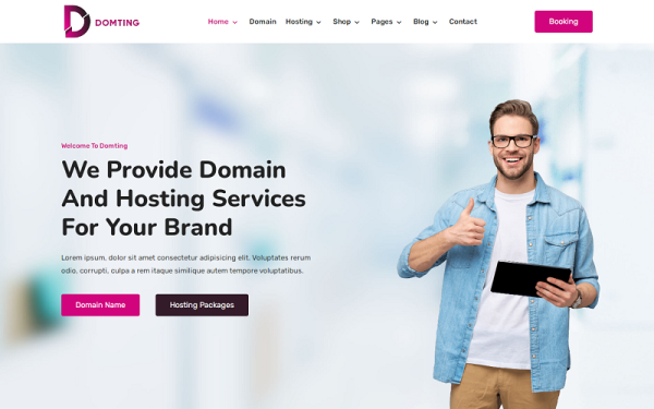 Domting - Domain and Hosting Provider Company and Agency Elementor WordPress Theme - Image 1