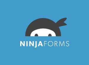 Download Monitor Ninja Forms Lock