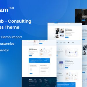 DreamHub Consulting WordPress Theme
