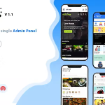 DTWeb - Convert Website to a Flutter App - multiple webapp supprot - Laravel admin panel