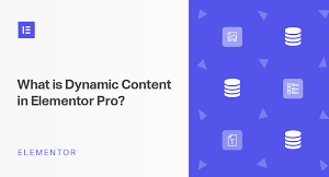 Dynamic Content for Elementor