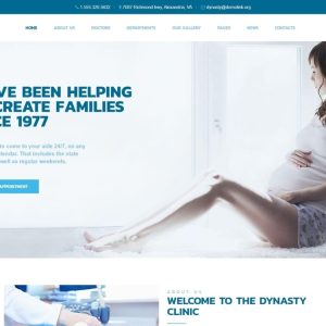 Dynasty - Reproduction Clinic Responsive WordPress Theme