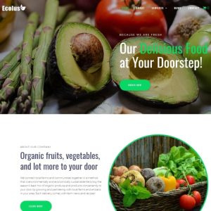 Ecolus - Organic Food Delivery ECommerce Modern WordPress Elementor Theme