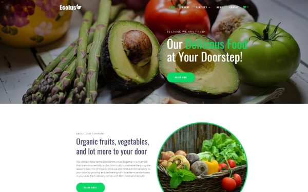 Ecolus - Organic Food Delivery ECommerce Modern WordPress Elementor Theme - Image 1