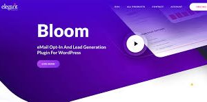 Elegant Themes Bloom Plugin