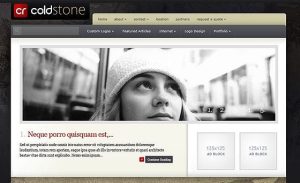 Elegant themes coldstone wordpress theme v6713 gplpixel.jpg